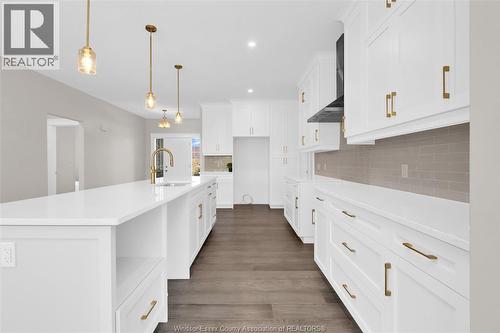302 Blake Avenue, Belle River, ON - Indoor Photo Showing Kitchen With Upgraded Kitchen