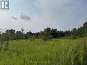 670 Scotch Settlement Road, Madoc, ON 