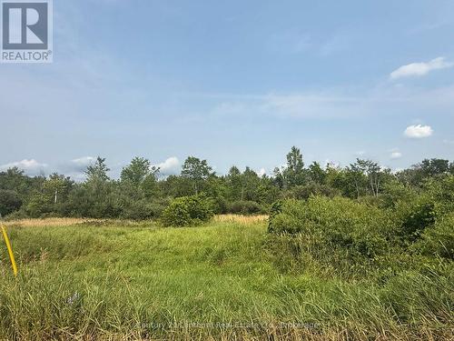 670 Scotch Settlement Road, Madoc, ON 