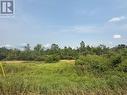 670 Scotch Settlement Road, Madoc, ON 