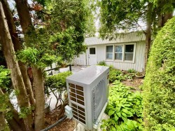 Garden - 