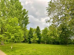 Nearby - 