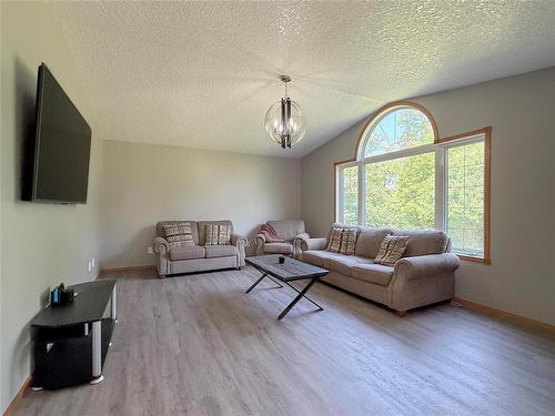 106100 43 (Treesbank) Road N, Brandon, MB - Indoor Photo Showing Living Room