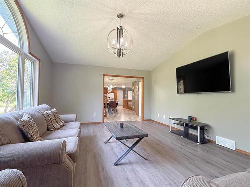 106100 43 (Treesbank) Road N, Brandon, MB - Indoor Photo Showing Living Room