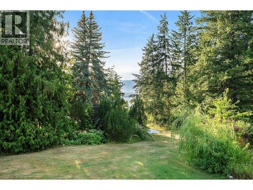 4061 Torry Road, Eagle Bay, BC - Outdoor
