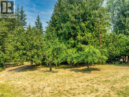 4061 Torry Road, Eagle Bay, BC - Outdoor