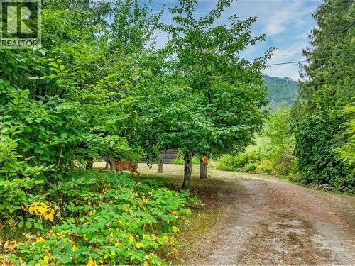 4061 Torry Road, Eagle Bay, BC - Outdoor