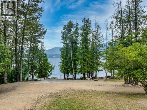 Private community park - 4061 Torry Road, Eagle Bay, BC - Outdoor With View