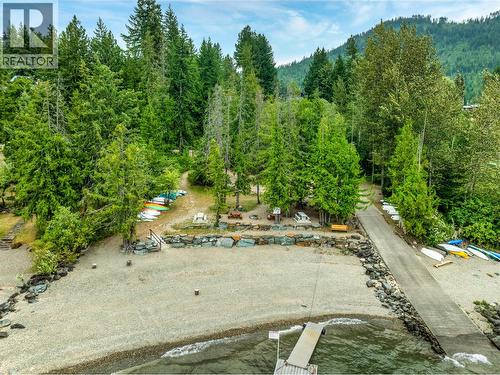 private beach - 4061 Torry Road, Eagle Bay, BC - Outdoor
