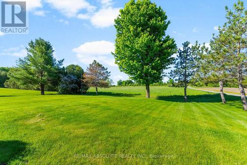 151 Duncan Drive, Mcnab/Braeside, ON - Outdoor With View