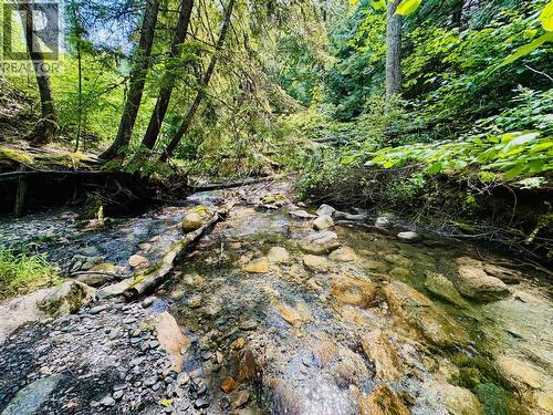 160 Trinity Valley Road, Lumby, BC 