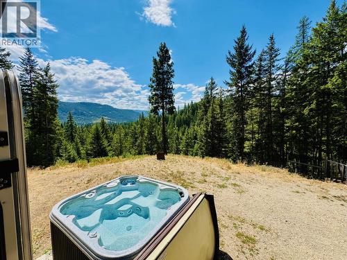160 Trinity Valley Road, Lumby, BC 