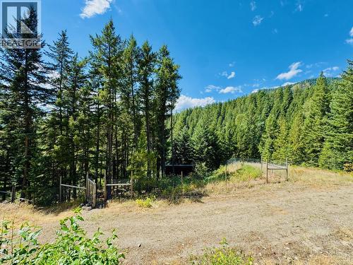 160 Trinity Valley Road, Lumby, BC 