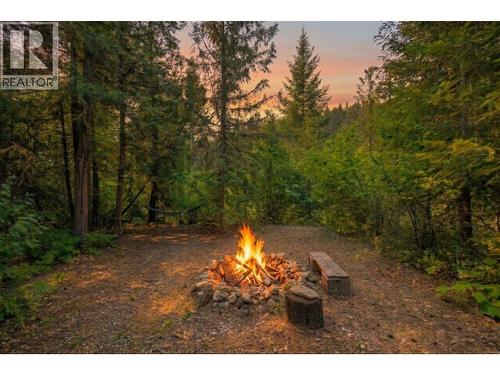 160 Trinity Valley Road, Lumby, BC 