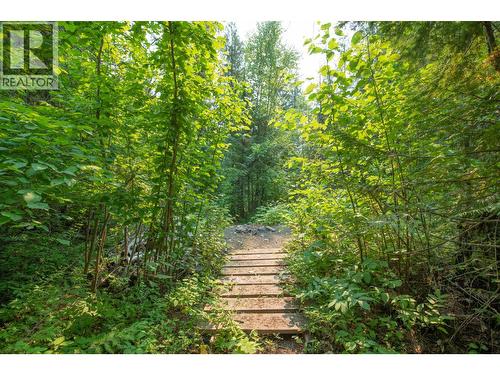 160 Trinity Valley Road, Lumby, BC 