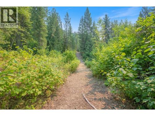 160 Trinity Valley Road, Lumby, BC 