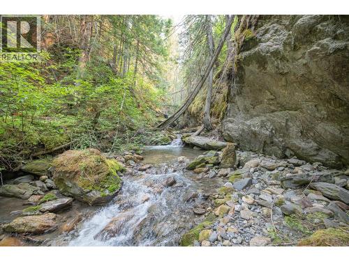 160 Trinity Valley Road, Lumby, BC 