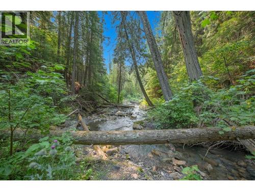 160 Trinity Valley Road, Lumby, BC 