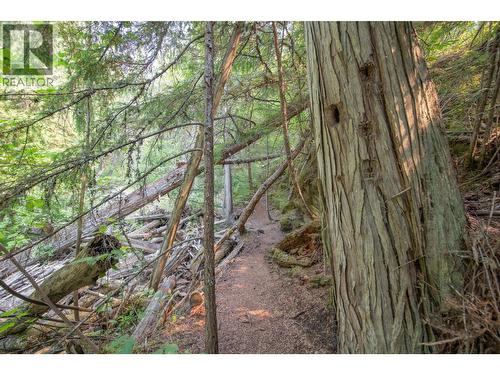 160 Trinity Valley Road, Lumby, BC 