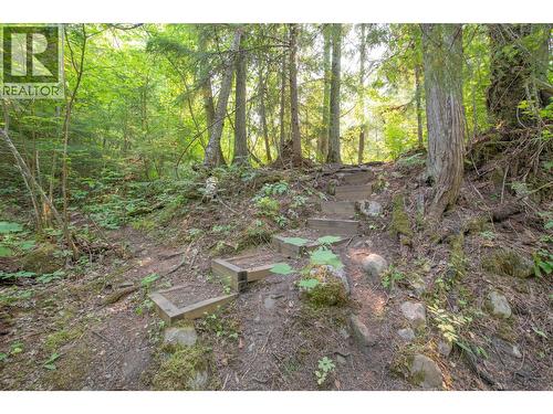 160 Trinity Valley Road, Lumby, BC 