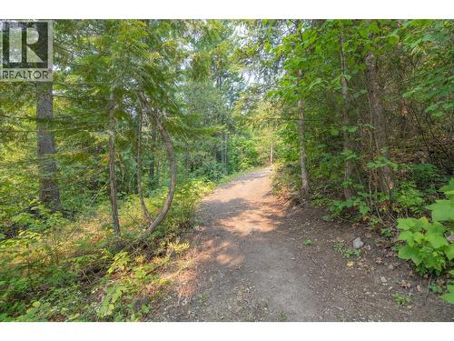 160 Trinity Valley Road, Lumby, BC 