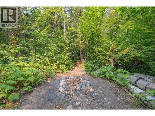 160 Trinity Valley Road, Lumby, BC 