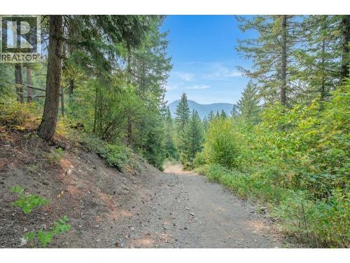 160 Trinity Valley Road, Lumby, BC 