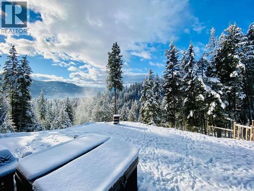 160 Trinity Valley Road, Lumby, BC 