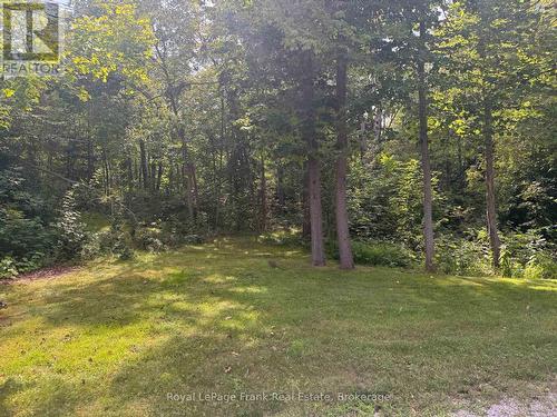 36 Fire Route 28, Trent Lakes, ON - Outdoor With View
