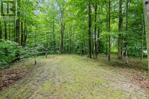 115 Larose Lane, The Nation, ON - Outdoor