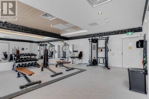 209 - 460 Gordon Krantz Avenue, Milton, ON - Indoor Photo Showing Gym Room