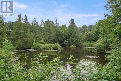 984 14 Concession E, Brockton, ON - Outdoor With View