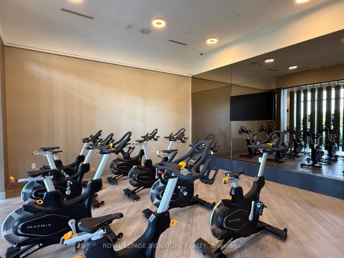 2009-30 Inn On The Park Drive, Toronto, ON - Indoor Photo Showing Gym Room