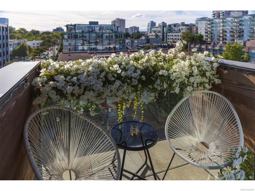 #502-1033 Cook St, Victoria, BC - Outdoor