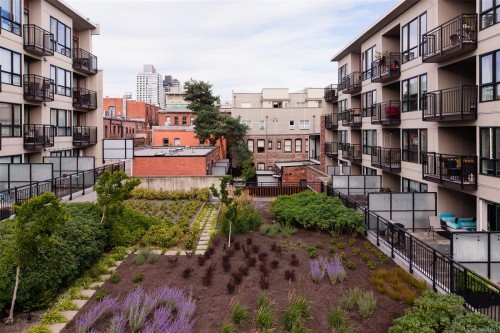 #215-517 Fisgard St, Victoria, BC - Outdoor