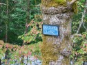 10206 South Dr, Port Alberni, BC 