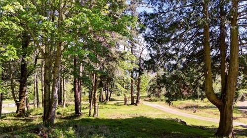 265 Lower Ganges Rd, Salt Spring, BC 