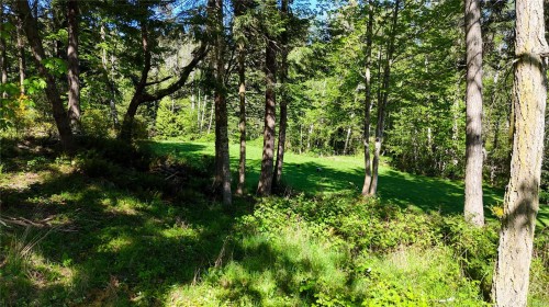 265 Lower Ganges Rd, Salt Spring, BC 