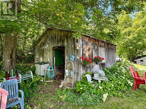 547 County Rd 36, Trent Lakes, ON - Outdoor