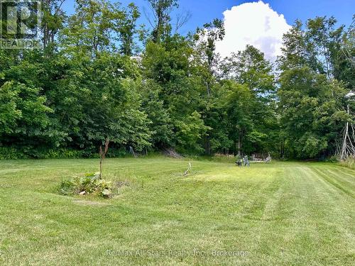 547 County Rd 36, Trent Lakes, ON - Outdoor