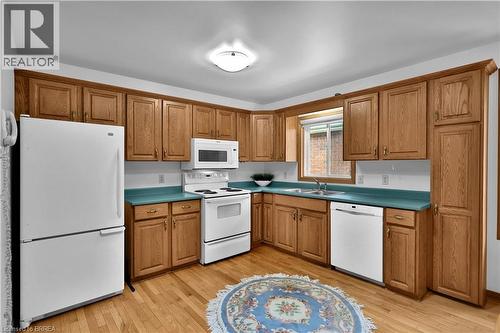46 Anderson Avenue, Simcoe, ON - Indoor Photo Showing Kitchen With Double Sink