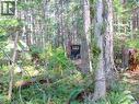 1599/1605 Vancouver Blvd, Savary Island, BC 