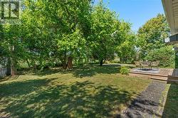 Expansive lawn with mature shade trees, featuring a raised wooden deck, exterior siding, and dense perimeter foliage - 