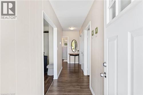 Entryway featuring a white paneled door with transom window, wood-finish flooring, and vertical wall paneling - 3 Bousfield Lane, Jarvis, ON - Indoor Photo Showing Other Room
