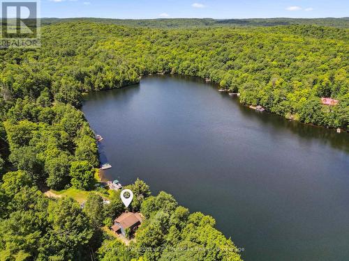 1345 Sinclair Trail Kawagama Lake Trail, Algonquin Highlands (Sherborne), ON - Outdoor With Body Of Water With View