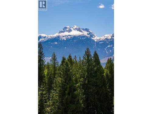Views - 1587 Pratico Road, Revelstoke, BC -  With View
