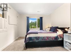 Large primary Bedroom 1 lower level - 