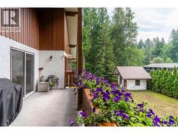 Sundeck overlooking backyard - 