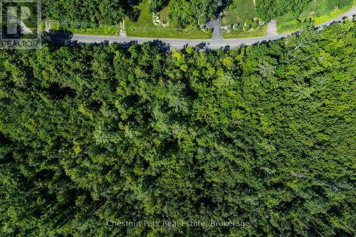 Ready for your vision to take place - 1461 Golden Beach Road, Bracebridge (Monck (Bracebridge)), ON 