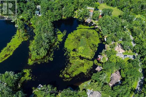 Minutes to Bracebridge - 1461 Golden Beach Road, Bracebridge (Monck (Bracebridge)), ON 